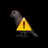 SysWhite avatar
